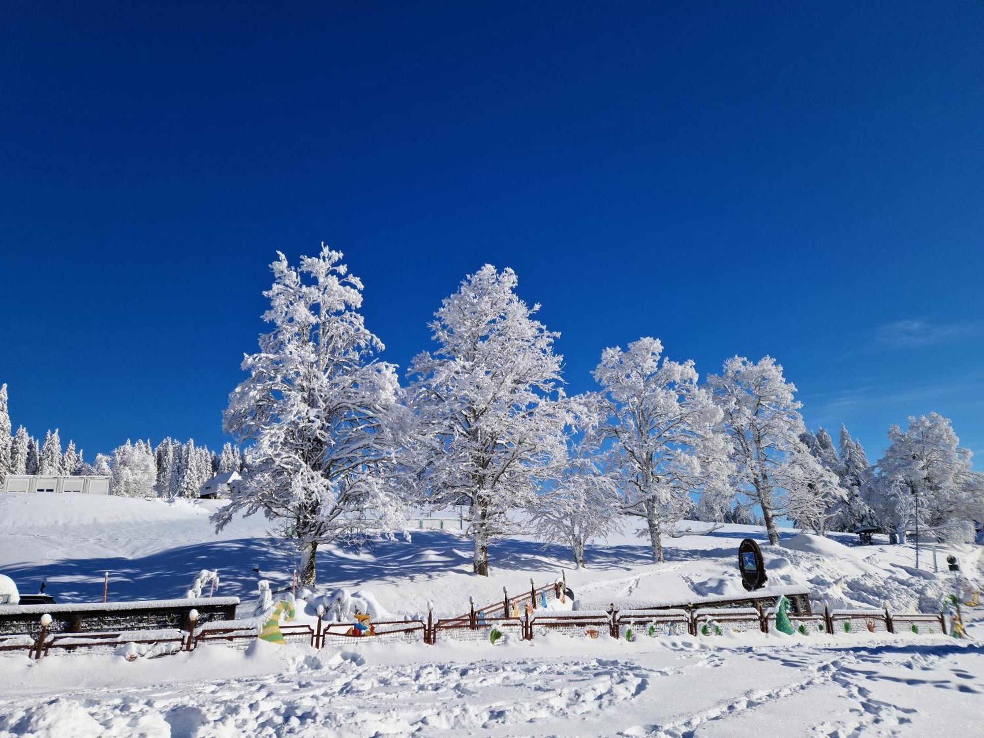 Altes Zollhuesli Villa Schluchsee Bagian luar foto