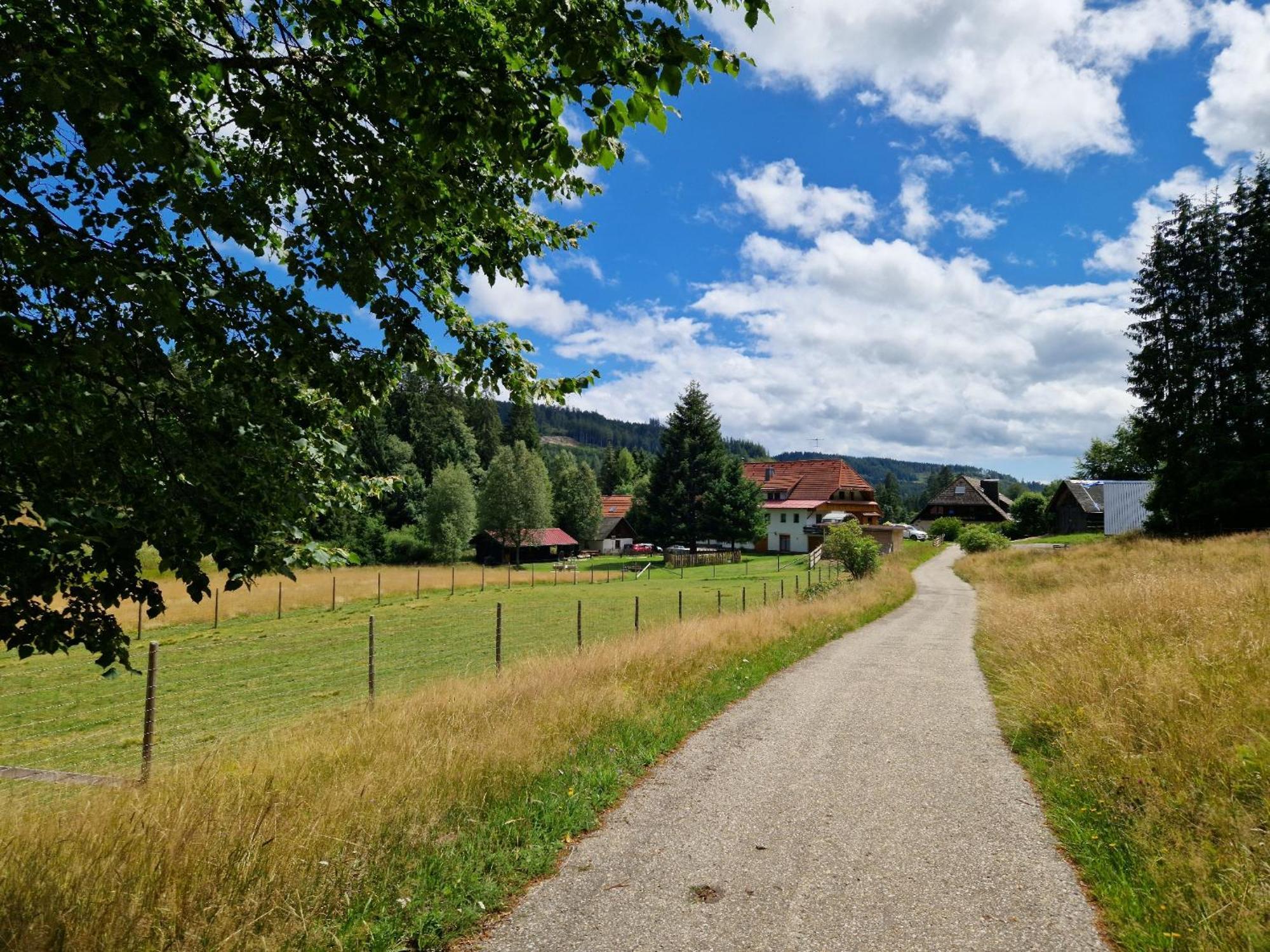 Altes Zollhuesli Villa Schluchsee Bagian luar foto