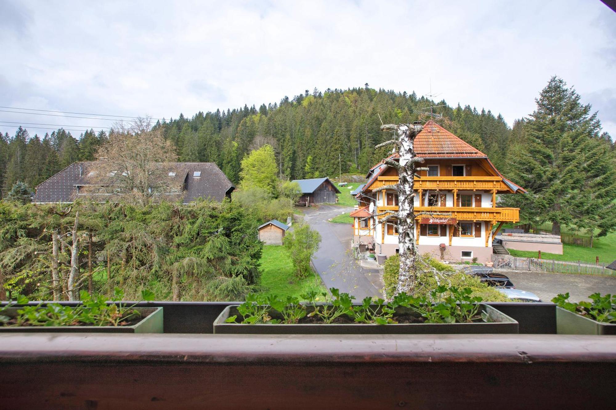 Altes Zollhuesli Villa Schluchsee Bagian luar foto