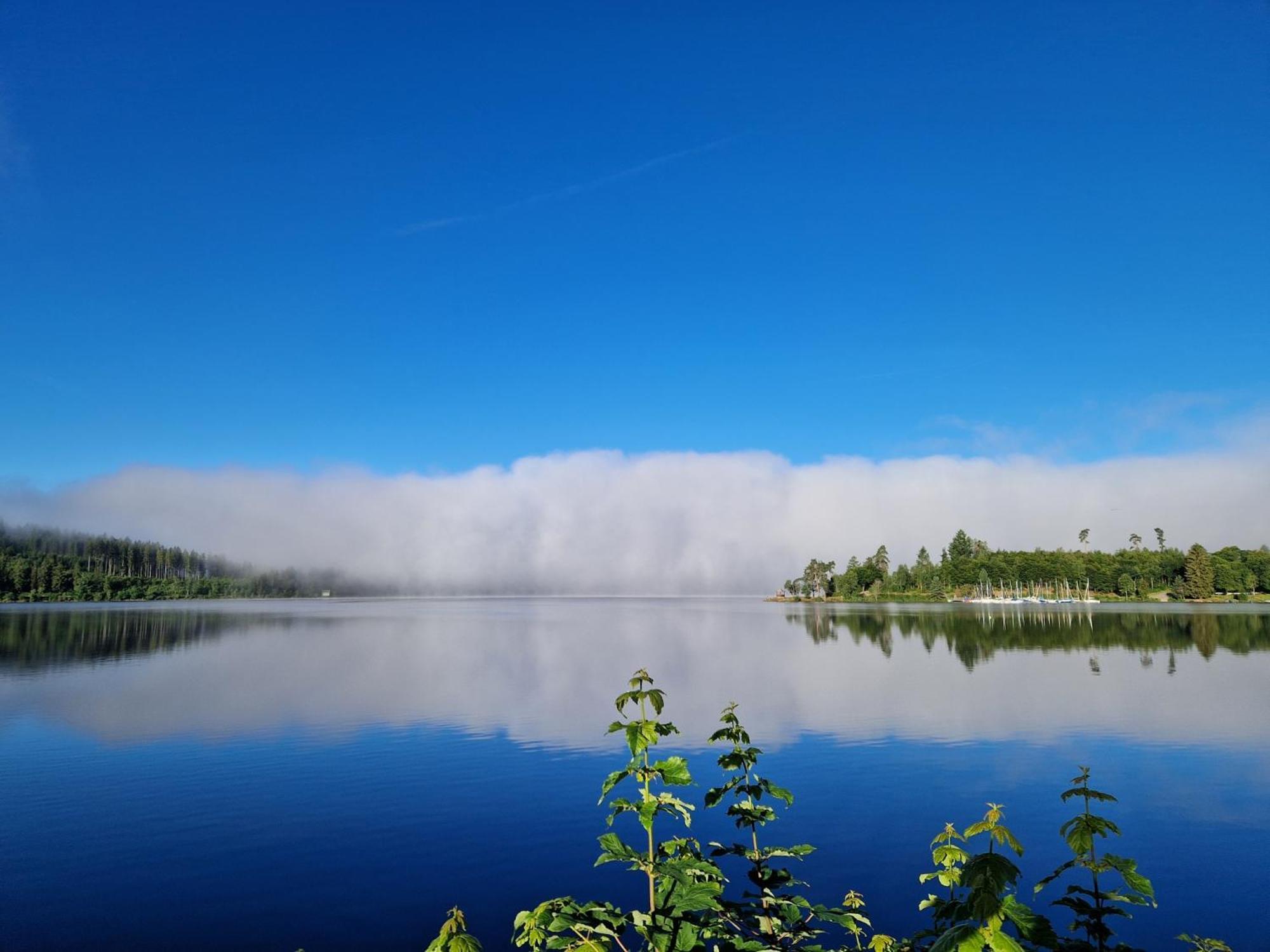 Altes Zollhuesli Villa Schluchsee Bagian luar foto