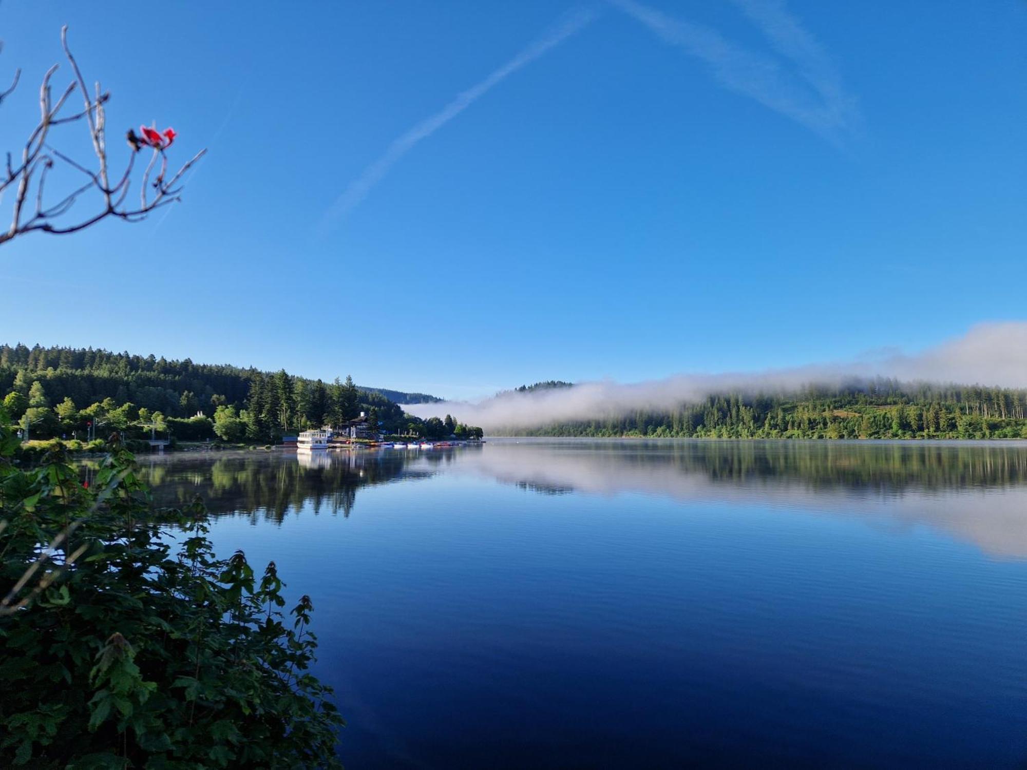 Altes Zollhuesli Villa Schluchsee Bagian luar foto